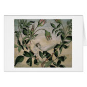 Vintage - Melk in een Hammock, (Voorkant Horizontaal)