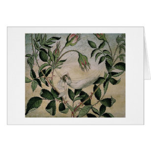 Vintage - Melk in een Hammock,