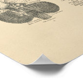 Vintage menselijke hersenen anatomie 1880 afdruk
poster (Hoek)