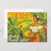 Vintage Mexico Tropical Travel Briefkaart (Voorkant / Achterkant)