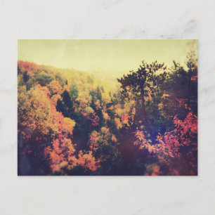 Vintage Michigan Autumn Trees Briefkaart