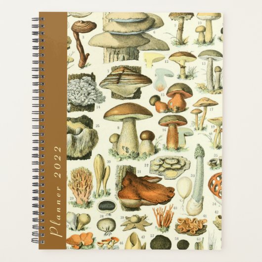 Vintage Millot Mushrooms & Fungi 2022 Dated Diary Planner (Voorkant)