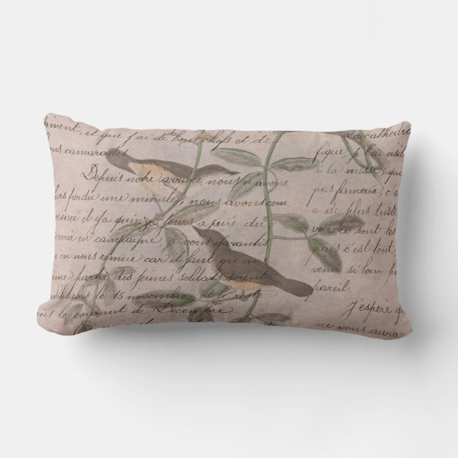 Vintage Moderne Franse Vogels Roze Buitengewoon Buitenkussen (Voorkant)