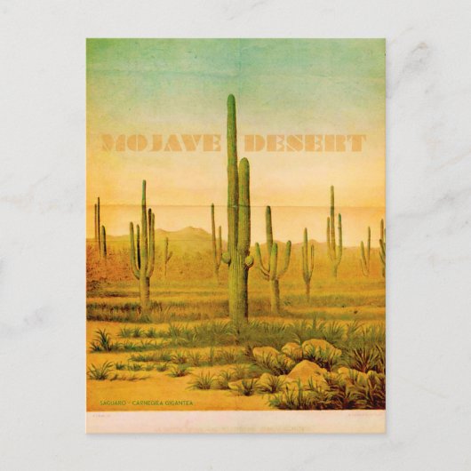 Vintage Mojave Desert Travel Briefkaart (Voorkant)