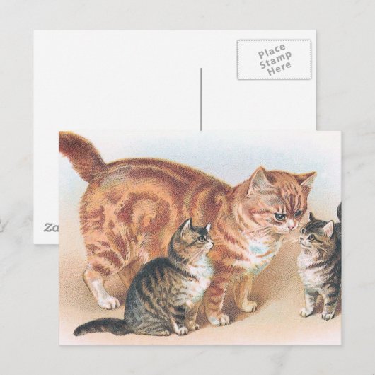 vintage "Momma Cat" Briefkaart (Voorkant / Achterkant)