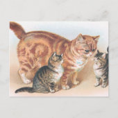 vintage "Momma Cat" Briefkaart (Voorkant)