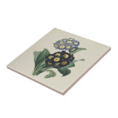 Vintage Moody Blue Auricula Primroses Tegeltje (Zijkant)