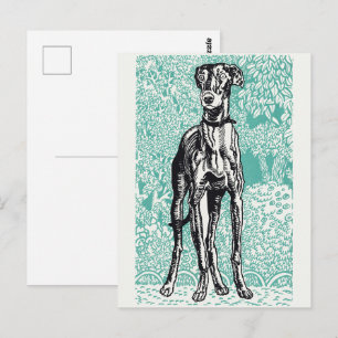 Vintage Moriz Jung Greyhound Kunst Teal Achtergron Briefkaart