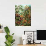 Vintage mossenplanten door Ernst Haeckel, Muscinae Poster<br><div class="desc">Vintage illustratie natuur botanisch ontwerp door Ernst Haeckel. Een verscheidenheid aan kleurrijke mossen,  grassen en andere exotische tropische planten in een regenwoudjungle.</div>