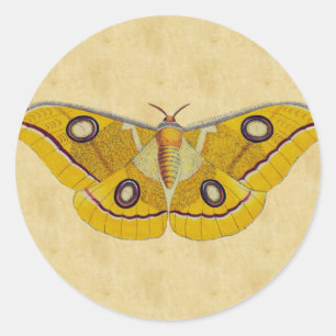 Vintage Mot Ronde Sticker