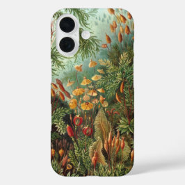 Vintage Muscinae, mosplanten door Ernst Haeckel iPhone 16 Hoesje