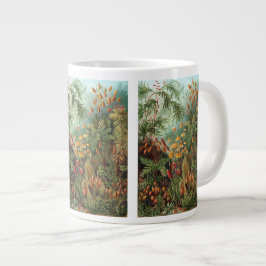 Vintage Muscinae, mosplanten door Ernst Haeckel Grote Koffiekop