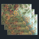 Vintage Muscinae, mosplanten door Ernst Haeckel Inpakpapier Vel<br><div class="desc">Vintage illustratie natuur botanisch ontwerp door Ernst Haeckel. Een verscheidenheid aan kleurrijke mossen, grassen en andere exotische tropische planten in een regenwoudjungle.</div>
