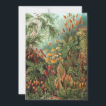 Vintage Muscinae, Mosplanten door Ernst Haeckel Kaart<br><div class="desc">Makkelijk aan te passen,  klik op de "aanpassen" knop en gebruik de ontwerpprogramma's om een unieke uitnodiging of aankondiging te maken. 
Vintage illustratie natuur botanische ontwerp door Ernst Haeckel. Een verscheidenheid aan kleurrijke mossen,  grassen en andere exotische tropische planten in een regenwoud jungle.</div>