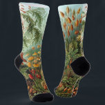 Vintage Muscinae, Mosplanten door Ernst Haeckel Sokken<br><div class="desc">Pret-sokken voor mannen en vrouwen met een all-over-print! Bezoek mijn winkel om bijpassende legging,  schoenen,  tanktops of t-shirts te vinden!  Stuur me een bericht voor speciale verzoeken. Vintage illustratie natuur botanisch ontwerp door Ernst Haeckel. Een verscheidenheid aan kleurrijke mossen,  grassen en andere exotische tropische planten in een regenwoud jungle.</div>