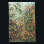 Vintage Muscinae, Mosplanten door Ernst Haeckel Theedoek<br><div class="desc">Vintage illustratie natuur botanisch ontwerp door Ernst Haeckel. Een verscheidenheid aan kleurrijke mossen,  grassen en andere exotische tropische planten in een regenwoudjungle.</div>