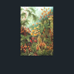 Vintage Muscinae, mossenplanten door Ernst Haeckel Canvas Afdruk<br><div class="desc">Vintage illustratie natuur botanisch ontwerp door Ernst Haeckel. Een verscheidenheid aan kleurrijke mossen,  grassen en andere exotische tropische planten in een regenwoudjungle.</div>