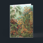 Vintage Muscinae, mossenplanten door Ernst Haeckel Kaart<br><div class="desc">Vintage illustratie natuur botanisch ontwerp door Ernst Haeckel. Een verscheidenheid aan kleurrijke mossen,  grassen en andere exotische tropische planten in een regenwoudjungle.</div>