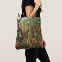 Vintage Muscinae, mossenplanten door Ernst Haeckel