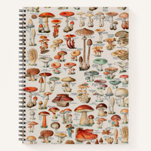 Vintage Mushroom Fungus Illustration I Notitieboek