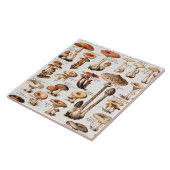 Vintage Mushrooms By Adolphe Millot  Tegeltje (Zijkant)