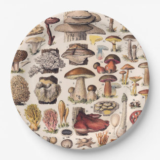 Vintage Mushrooms Illustration By Adolphe Millot Papieren Bordje