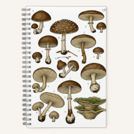 Vintage Mushrooms Notebook Notitieboek