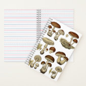 Vintage Mushrooms Notebook Notitieboek (Binnen)