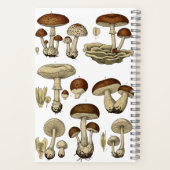 Vintage Mushrooms Notebook Notitieboek (Achterkant)