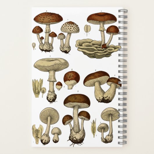 Vintage Mushrooms Notebook Notitieboek (Achterkant)
