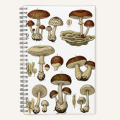 Vintage Mushrooms Notebook Notitieboek (Voorkant)