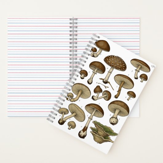 Vintage Mushrooms Notebook Notitieboek (Binnen)
