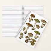 Vintage Mushrooms Notebook  Notitieboek (Binnen)