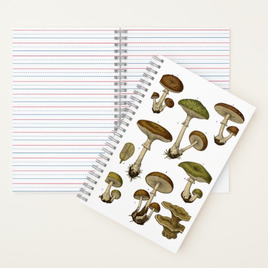 Vintage Mushrooms Notebook Notitieboek (Binnen)