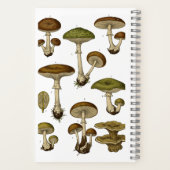 Vintage Mushrooms Notebook  Notitieboek (Achterkant)