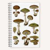 Vintage Mushrooms Notebook Notitieboek (Voorkant)