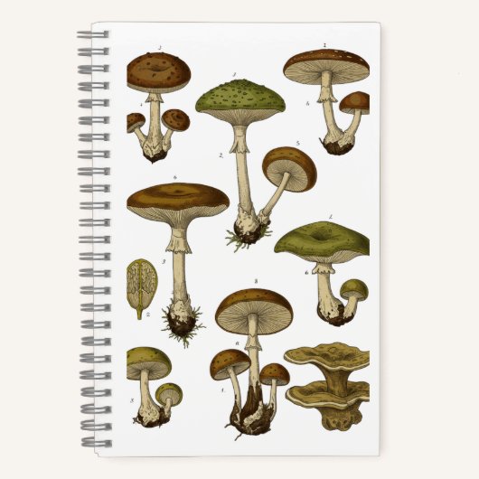 Vintage Mushrooms Notebook  Notitieboek (Voorkant)