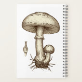 Vintage Mushrooms Notitieboek (Achterkant)