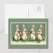 Vintage Musical Easter Bunnies Green Briefkaart (Voorkant / Achterkant)