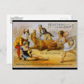 Vintage Mustang Liniment Briefkaart (Voorkant / Achterkant)