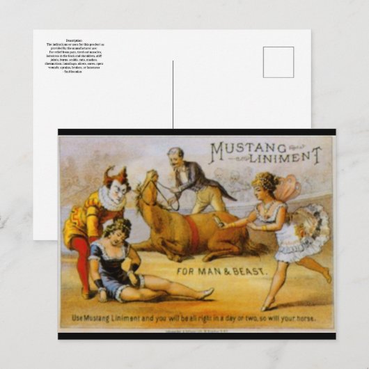 Vintage Mustang Liniment Briefkaart (Voorkant / Achterkant)