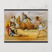 Vintage Mustang Liniment Briefkaart (Voorkant)