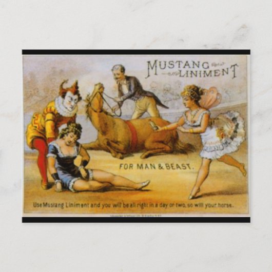 Vintage Mustang Liniment Briefkaart (Voorkant)