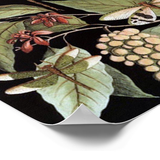 Vintage Natuur Poster (Hoek)