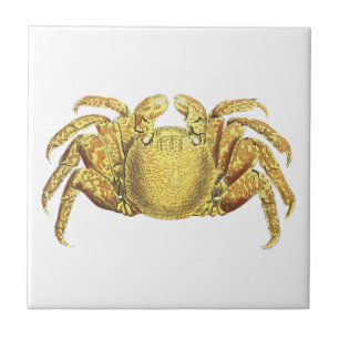 Vintage Nautical Bonte Krab Kust Muur Kunst Tegeltje