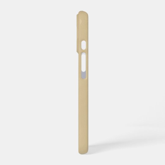 Vintage Nautical Compass iPhone 16 Hoesje (Linkerkant)