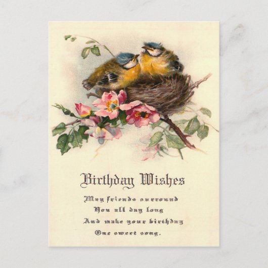Vintage Nesting Chicks 1917 Verjaardag Briefkaart (Voorkant)
