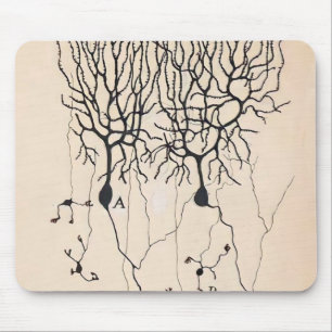 Vintage Neuron Tekening door Santiago Ramón y Caj Muismat