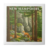 Vintage New Hampshire Tegeltje (Voorkant)