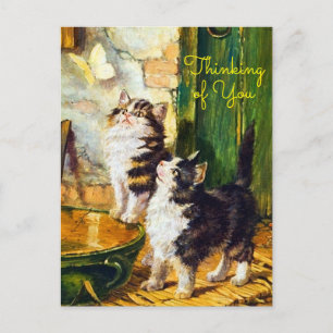 Vintage Nieuwsgierige Kittens Vlinder Denk Aan Jou Briefkaart